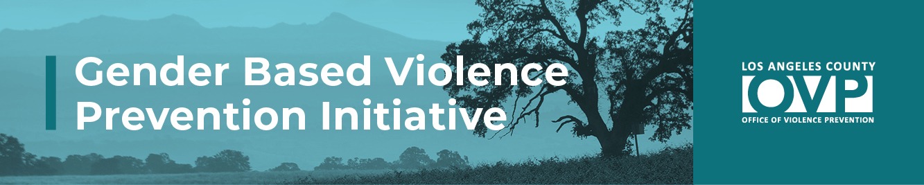 Gender Based Violence Prevention Initiative